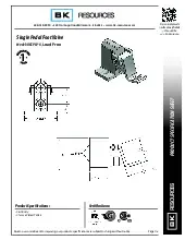 bk-resources-bkspfv-dgs-g-foot-valve-specsheet-250813qaor7w.pdf
