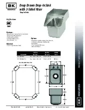 bk-resources-ddi-10141024s-p-g-sink-drop-in-specsheet-250813yiij9f.pdf